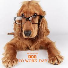 Image result for take your dog to work day 2017