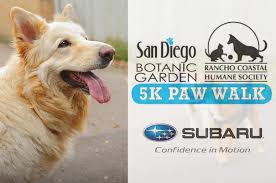 Image result for The 5K Paw Walk in the Garden
