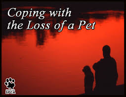Image result for pet loss support