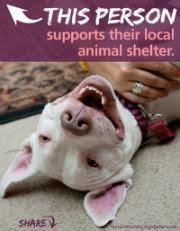 Image result for national animal shelter appreciation week