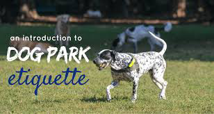Image result for Dog Park Etiquette
