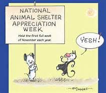 Image result for national animal shelter appreciation week