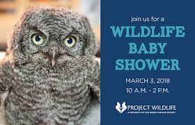 Image result for Project Wildlife Baby Shower