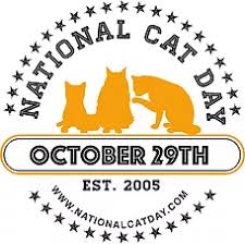 Image result for national cat day
