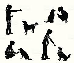 Image result for adult dog classes