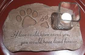 Image result for pet loss support group
