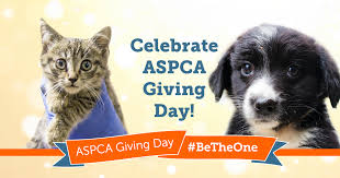 Image result for aspca giving day 2017