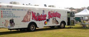 Image result for neuter scooter