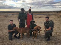 Image result for Dog Walk For A Cause - K9 Anti-Poaching Unit Fundraiser