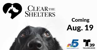 Image result for clear the shelters 2017