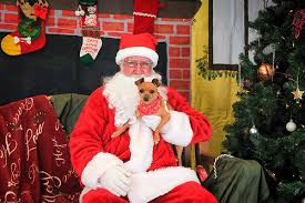 Image result for San Diego Humane Society winter holiday mutt mixer